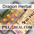 Dragon Herbal new06